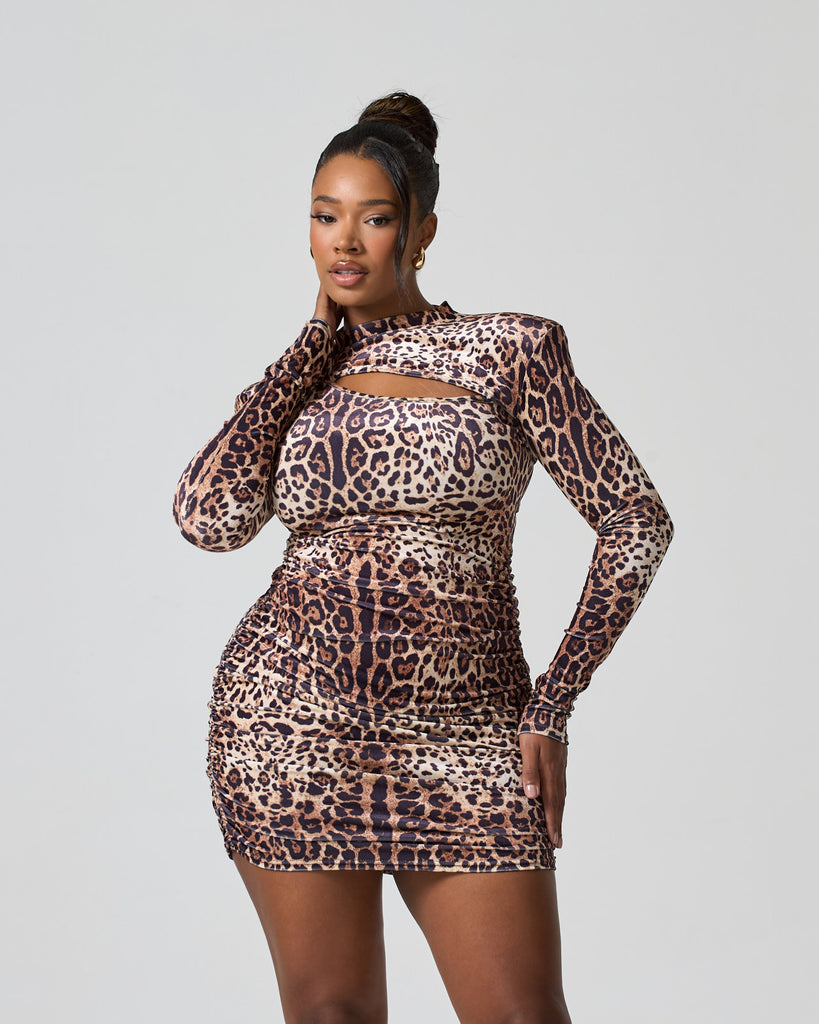 Back and better / Leopard