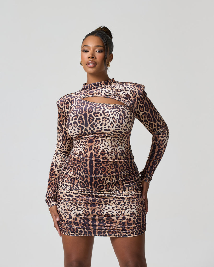 Back and better / Leopard