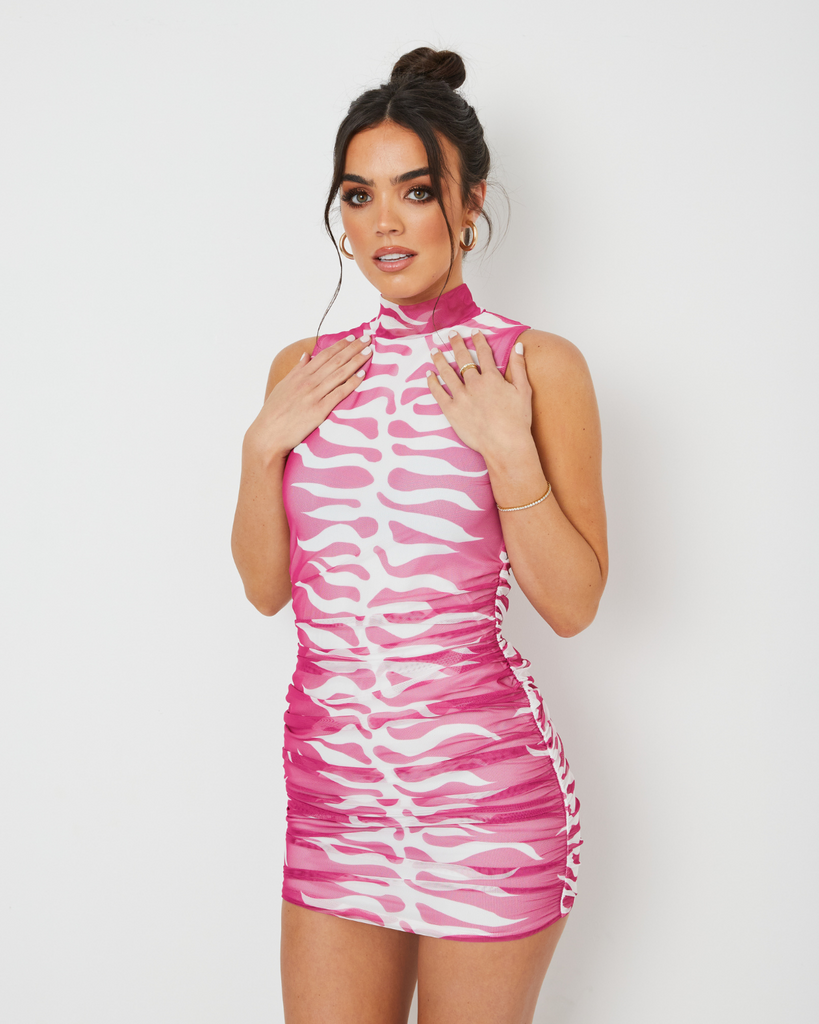 New Flame Mesh / Zebra Pink